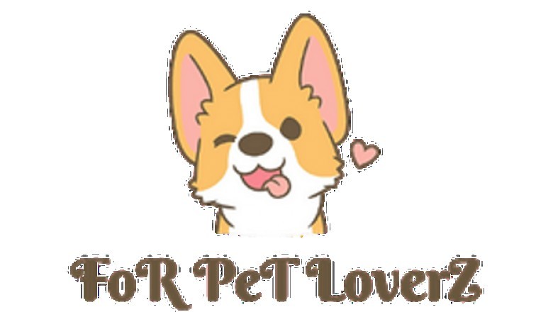 Dog Behavior Training - Greater Behavior For the Dog