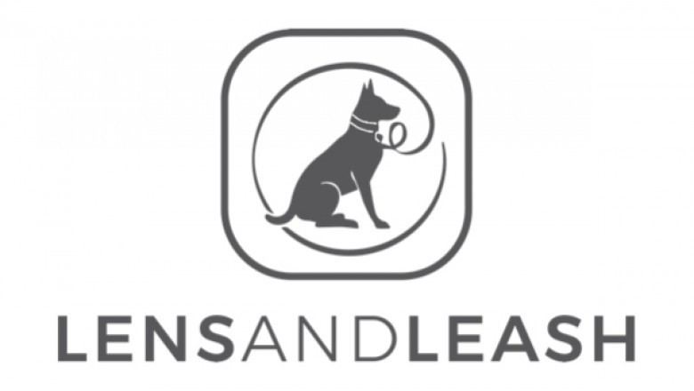 Could You Foster a Dog in Need?