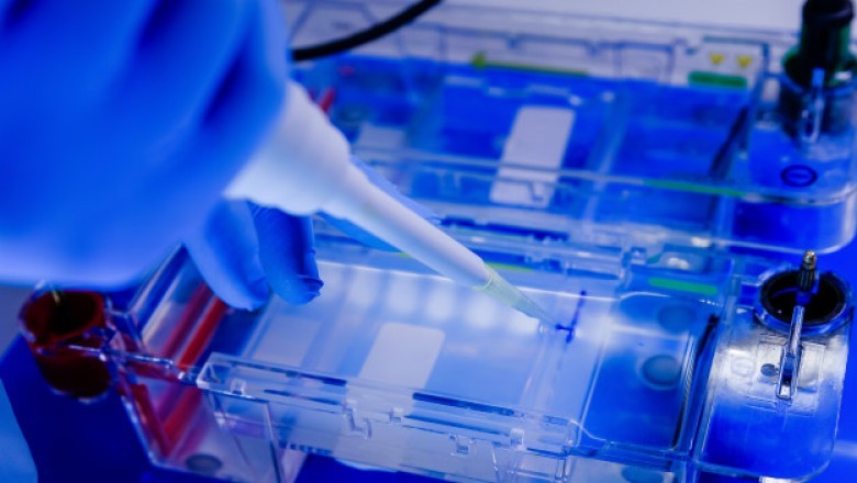 Key Market Takeaways: Cell Culture Market