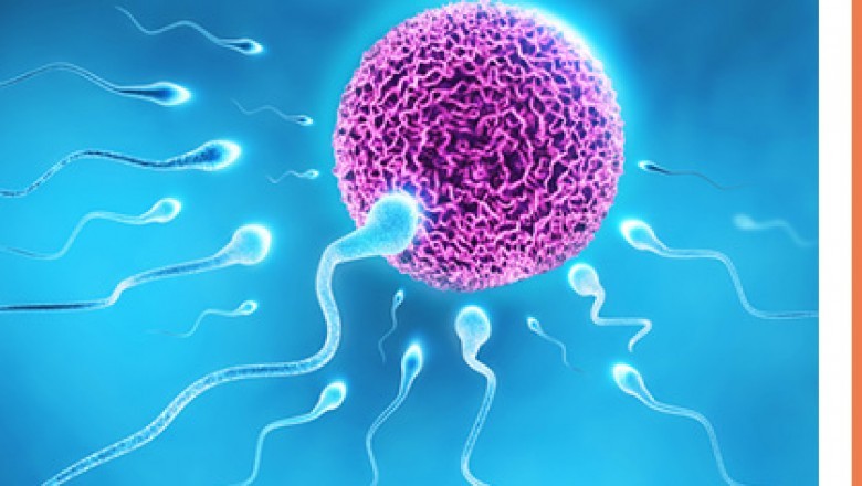 Miraculum IVF, provides fertility treatment