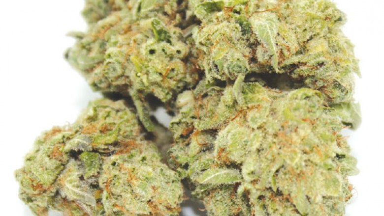 Why People Pick THC Oil: Its Benefits