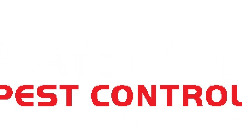 Domestic Pest Control in Melbourne - Bayswater Pest Control