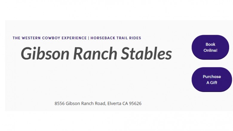 Horse Riding Lessons Sacramento CA