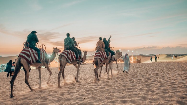 The Abu Dhabi Desert Safari Tour is one of the city's most unique and fascinating tours