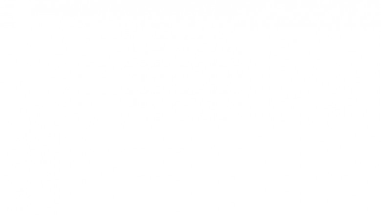 Immigration Advisor NZ