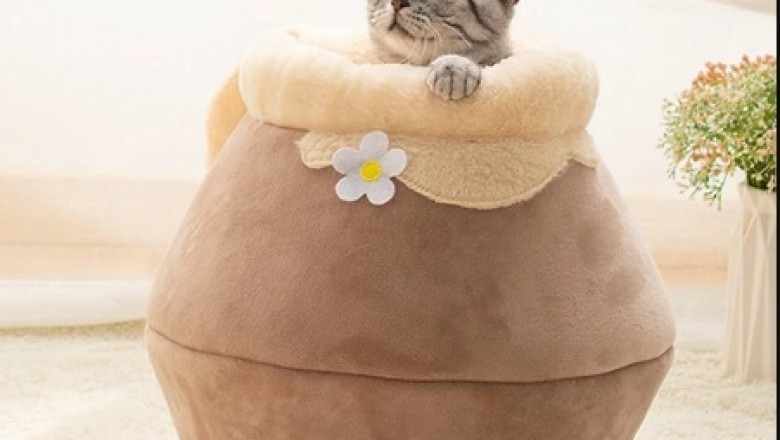 Lit pour chat