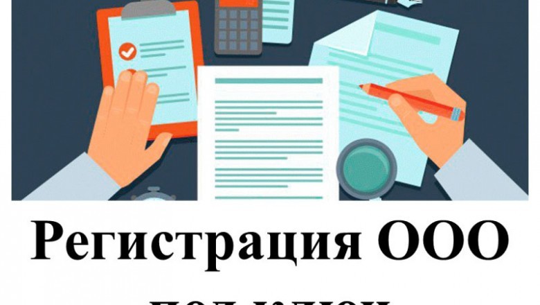 Limited Liability Company Formation and Registration