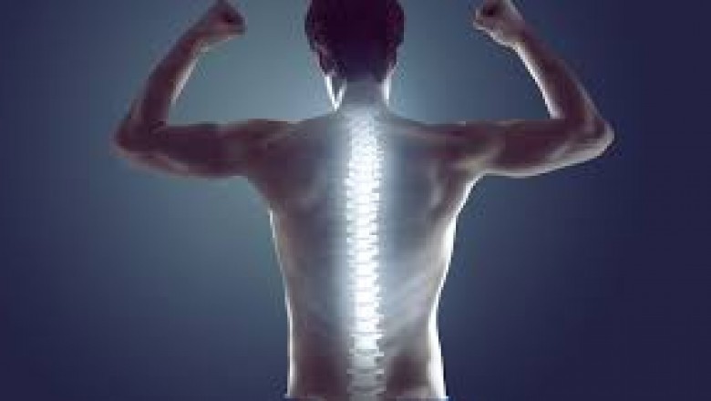 Chiropractor Bergen County NJ