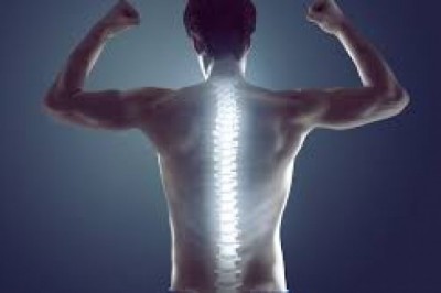Chiropractor Bergen County NJ
