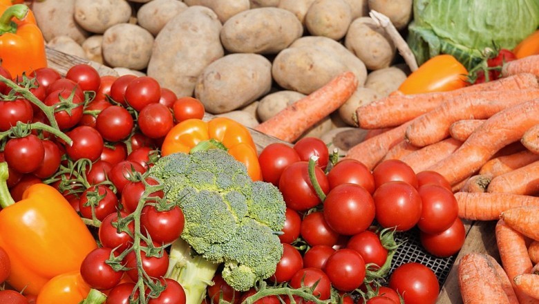 Holistic Diet: What Is It and How Does Food Impact Your Health