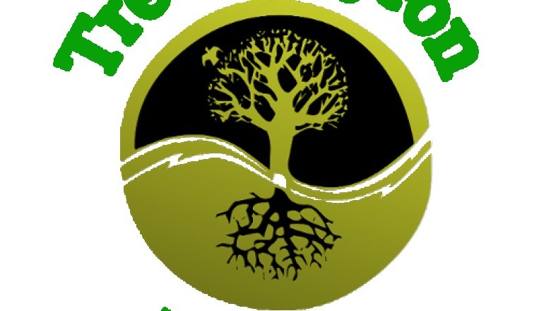 Importance of Possessing a Tree Service