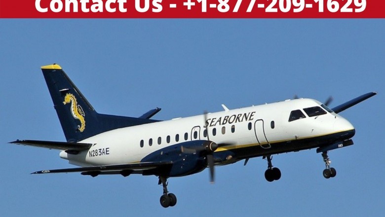 Seaborne Airlines Reservations with contactforsupport