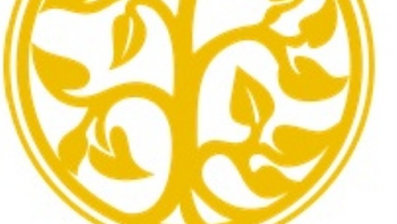 Aromatherapy Safety with Essential Oils