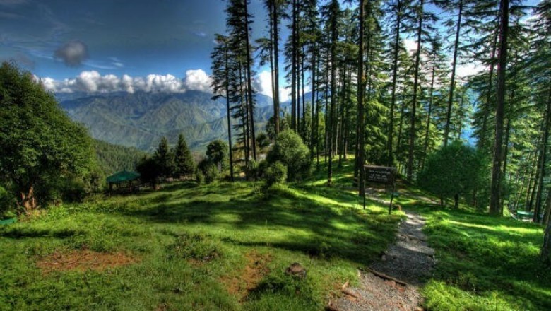 Family Holidays in Dhanaulti | Best Resort in Dhanaulti