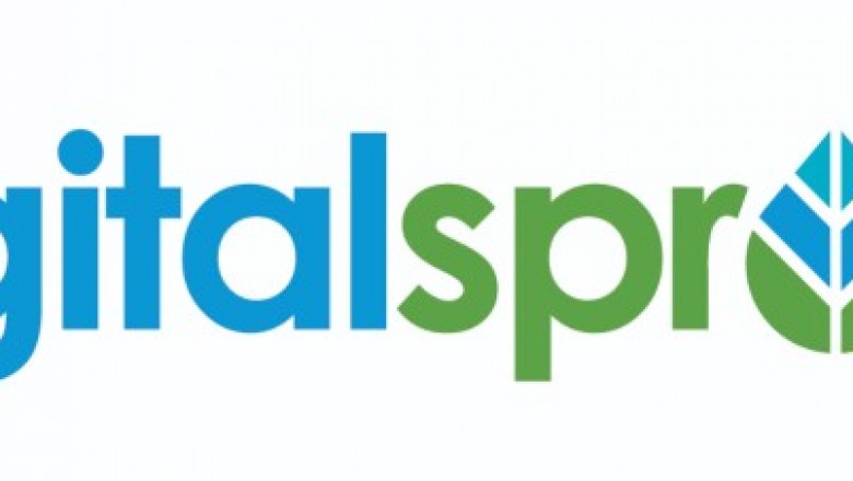 Maryland Web Design - Digital Sprout