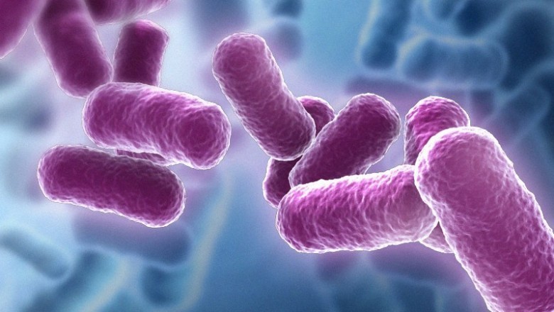High demand for enzymes has played significant role in shaping up Bacillus Subtilis industry