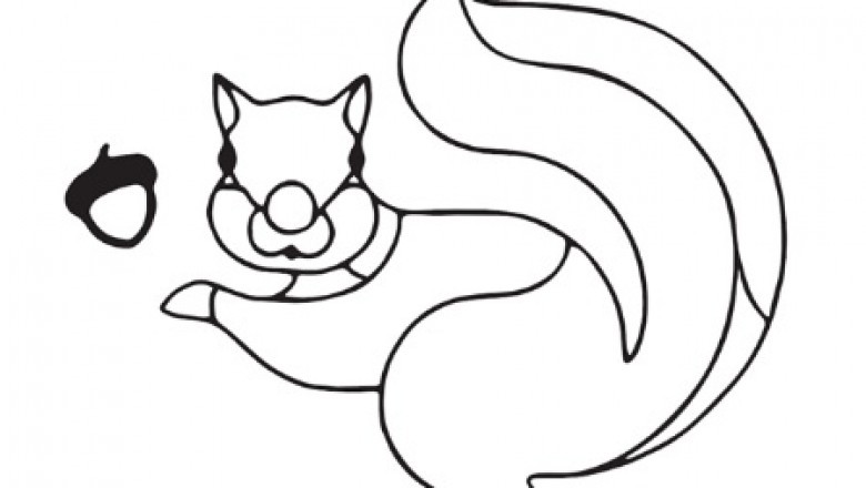 The Editors  Company