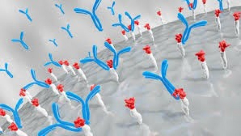 Covid-19 to Offer Lucrative Growth Opportunities for Players in Protein A Resin Market