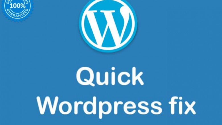 Experienced WordPress Pro