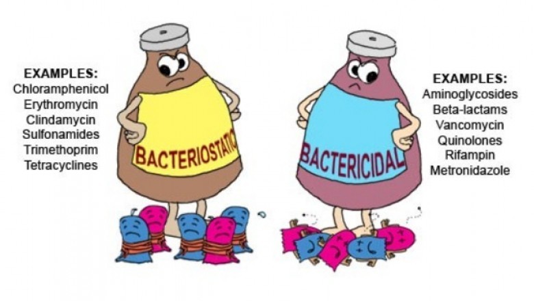 Beta-lactam and Beta-lactamase Inhibitors Market is Booming Worldwide 2020-2030