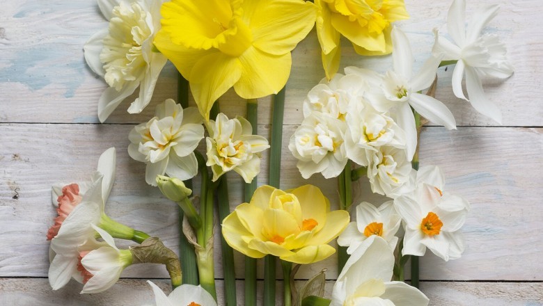 Top three Mothers Day gift ideas to make the day of your Mom!