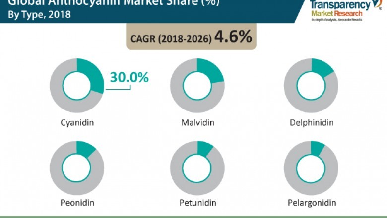 Anthocyanin Market Valuation worth US$ 735.9 Mn by 2026