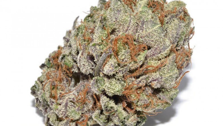 The Beginner’s Guide to Shopping for Pot