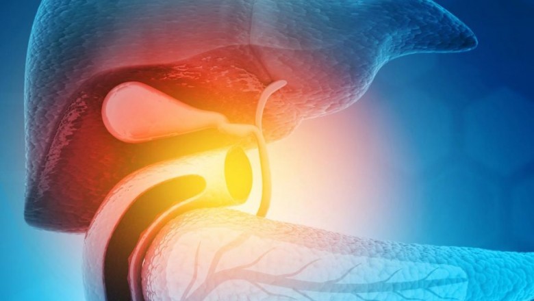 Here’s Everything You Should Know about Cholestasis Treatment and Management