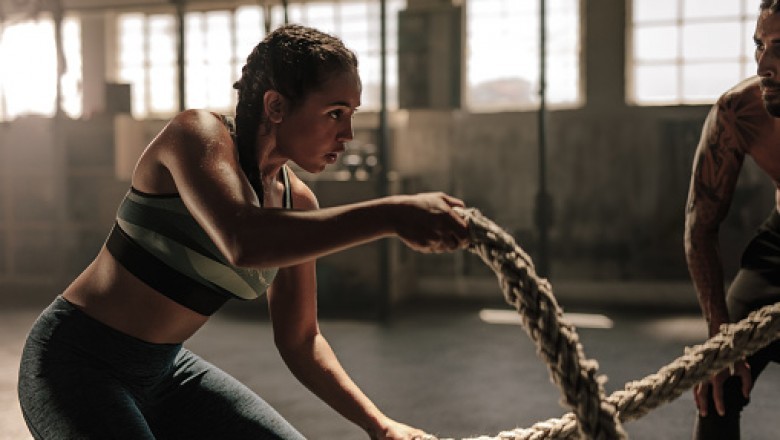 What Is The Practical Diet Revolution?