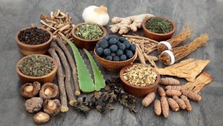 Functional Medicine: What Is It About and Why Do You Need It?