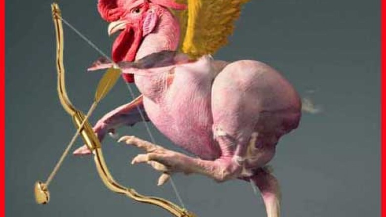 Six Years of “The Adventures of Chainsaw Chicken”: Full of Entertainment