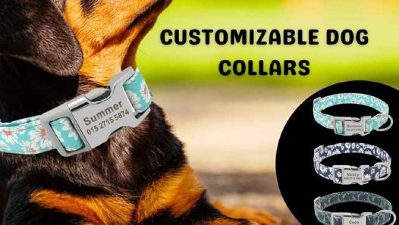 Buy Best quality Pet Clothes | pet clothes online
