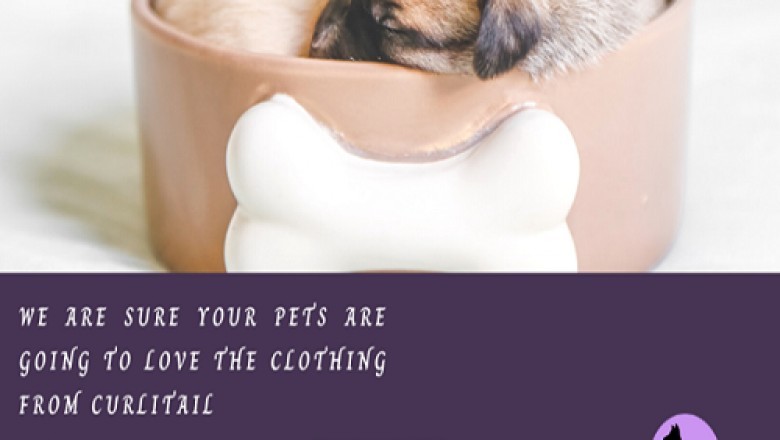 Buy pet accessories | pet accessories shop