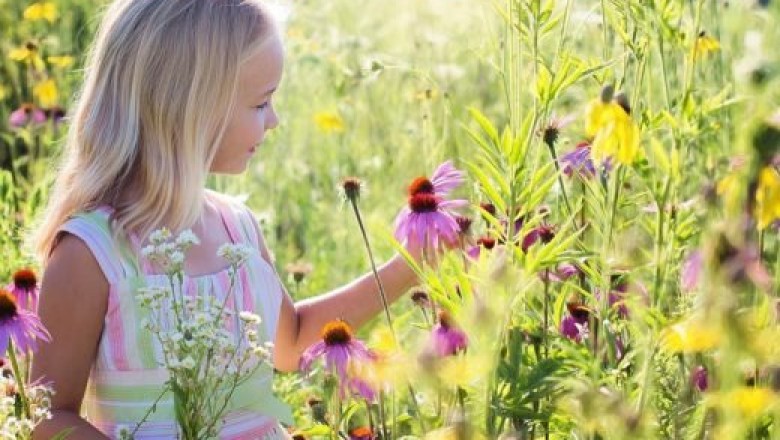 Attachments And Detachment With happiness-WOWzforHappiness