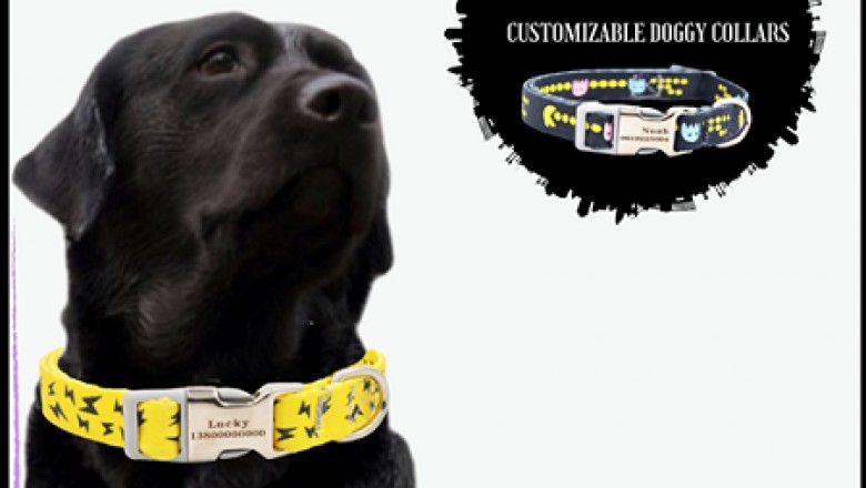 Best pet accessories shop | pet accessories online