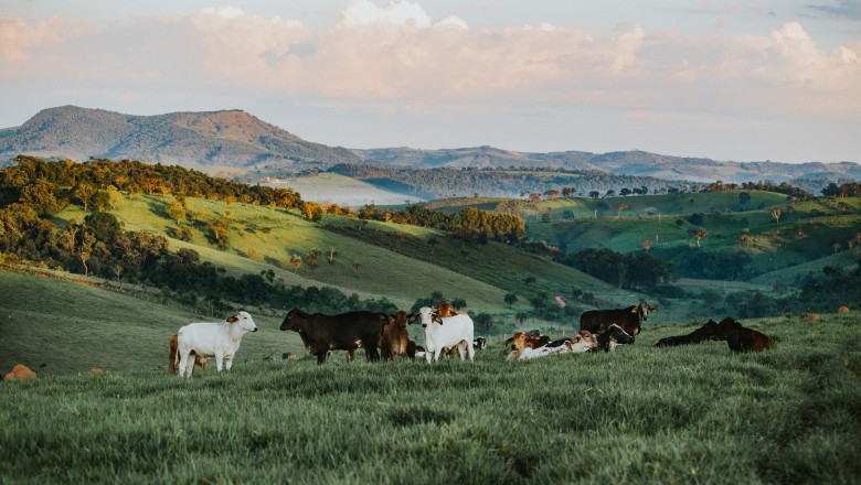 Creative farming ideas from Europe