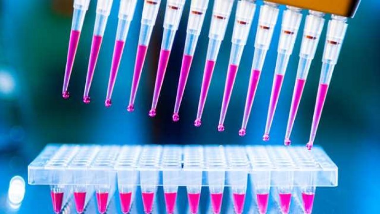 Early Toxicity Testing Market Demand, Trends and Precise Outlook 2021 to 2030