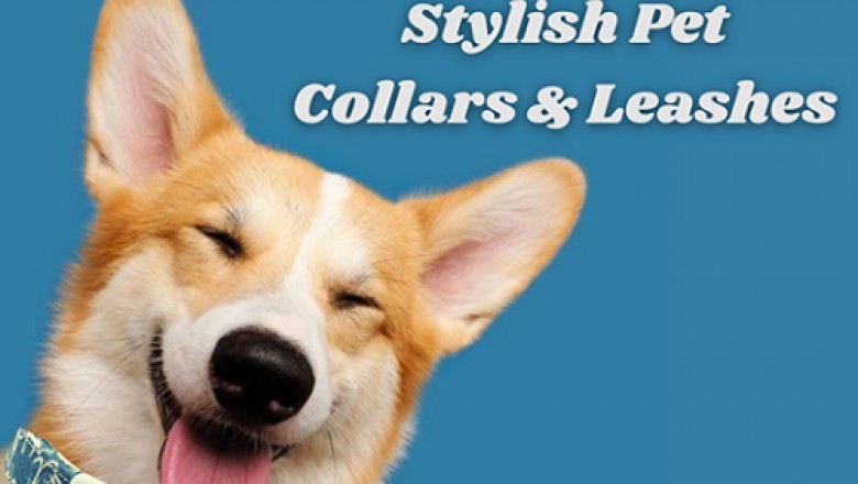 Buy Pet Accessories | Buy Pet Clothes Online in USA at Best Price