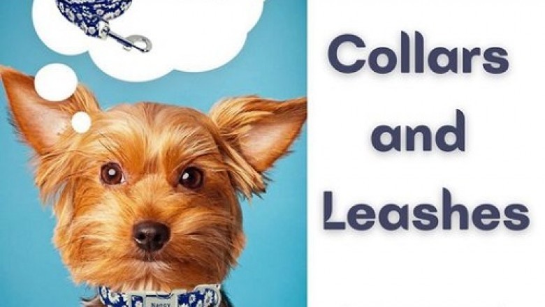 Buy pet accessories | custom dog collar