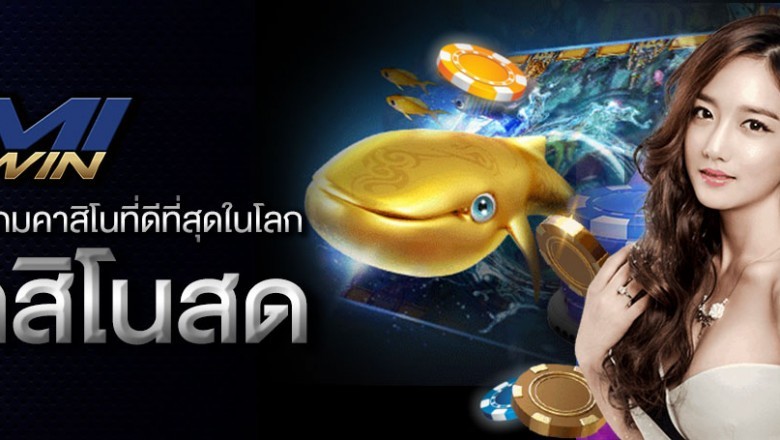 Get a lot more information IMI WIN