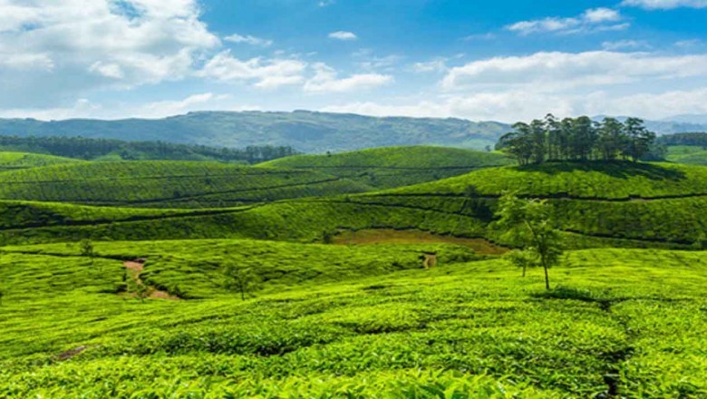 Best Kerala Tour Packages - Trinetra Tours