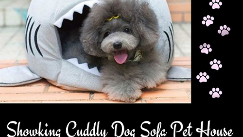 Buy Best quality Pet Clothes | dog accessories shop