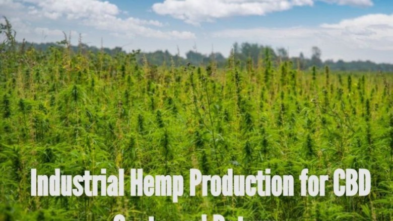 How much does it cost to grow hemp