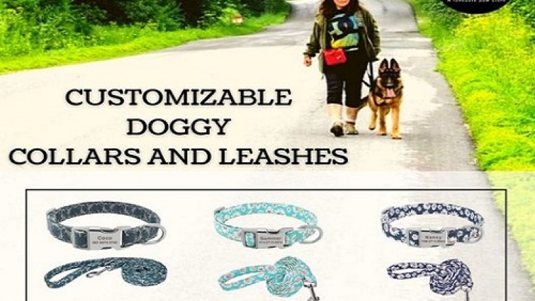 Buy pet accessories | online pet store