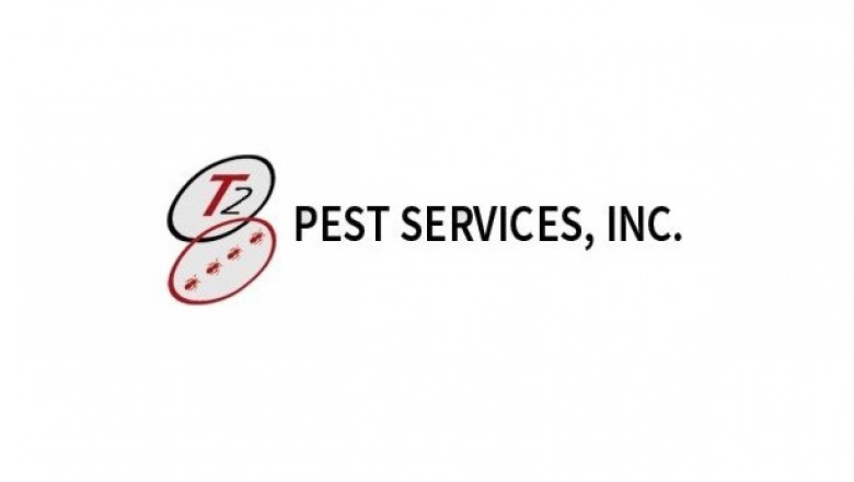 Termite Treatment Phoenix AZ