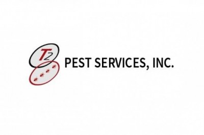 Termite Treatment Phoenix AZ