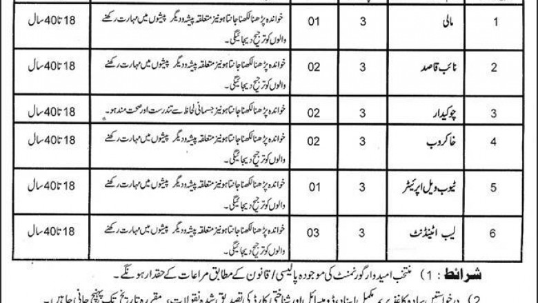 Govt Jobs In Degree College Brawl Dir Bala KPK 2021