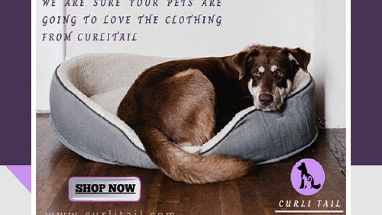 pet accessories | Curlitail