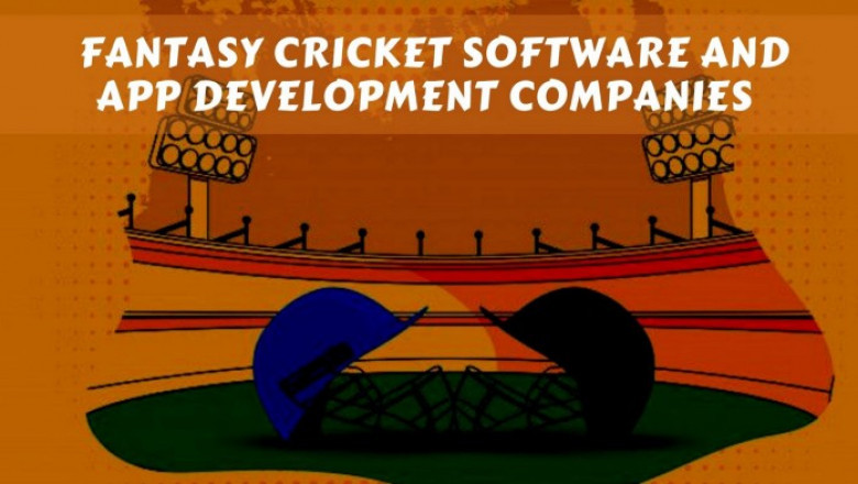 Top 10 Fantasy Cricket Software and App Development Companies 2021-22