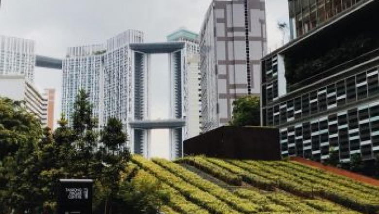 One Bernam for Dummies